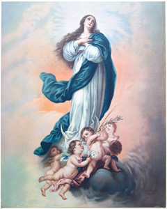 Immaculate Conception